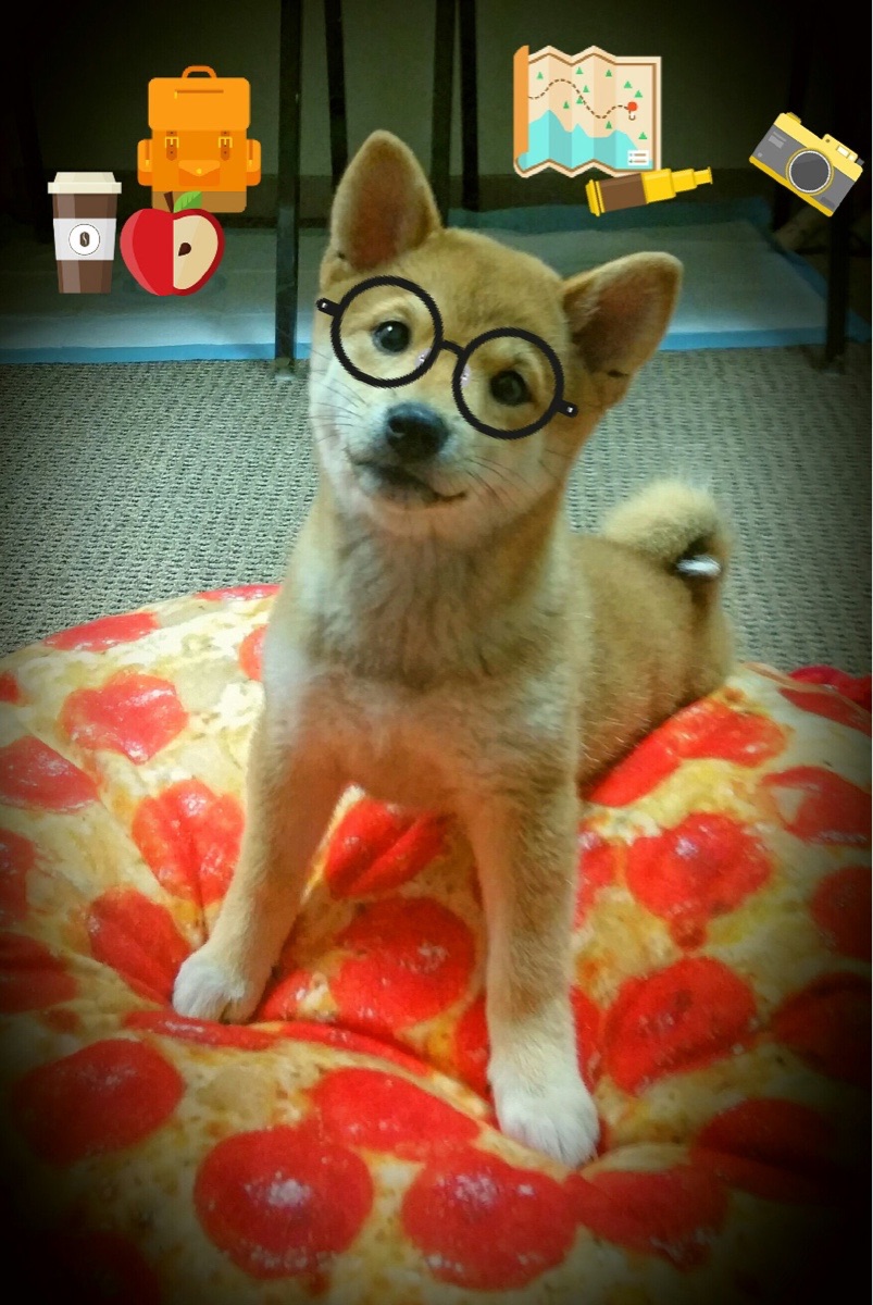 马术文化研学基地接待量创历史新高,马术研学游