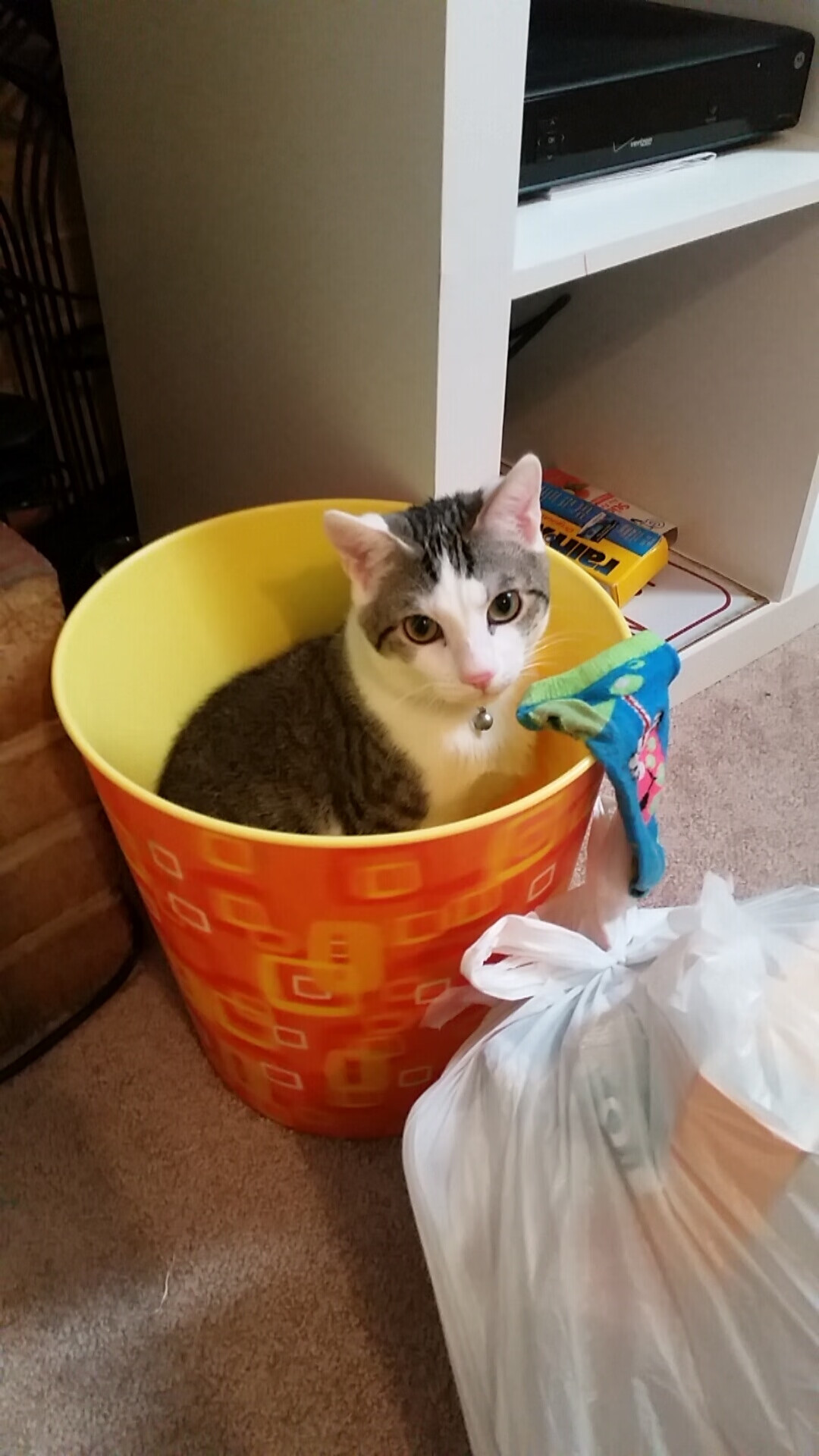 爱游戏体育在线-“帕布罗·马特拉：阿根廷美洲狮队的旗帜性人物，迎接未来更多挑战”