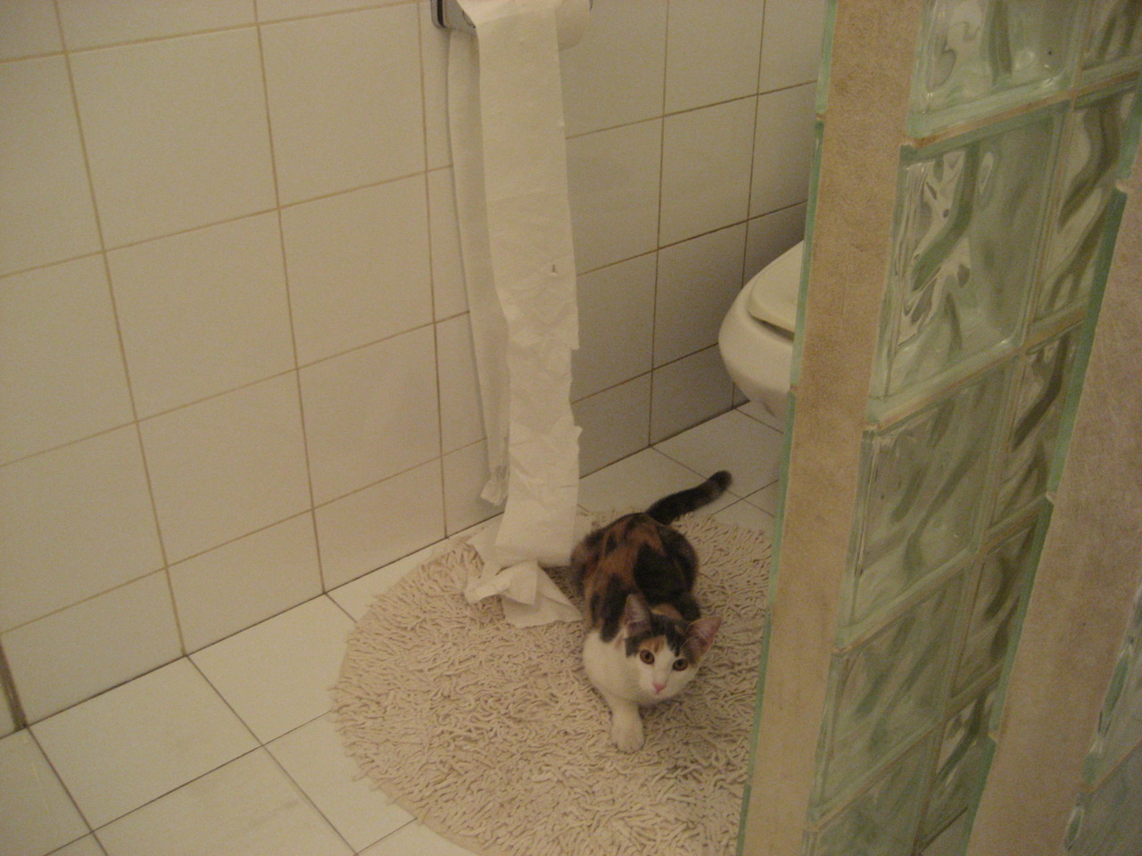 中小学篮球比赛推广团队协作训练提升配合能力,小学篮球班级联赛方案