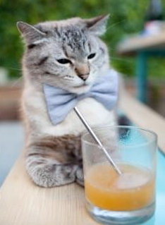 埃塞俄比亚男篮在非洲大赛中表现优异,体育水平持续提升