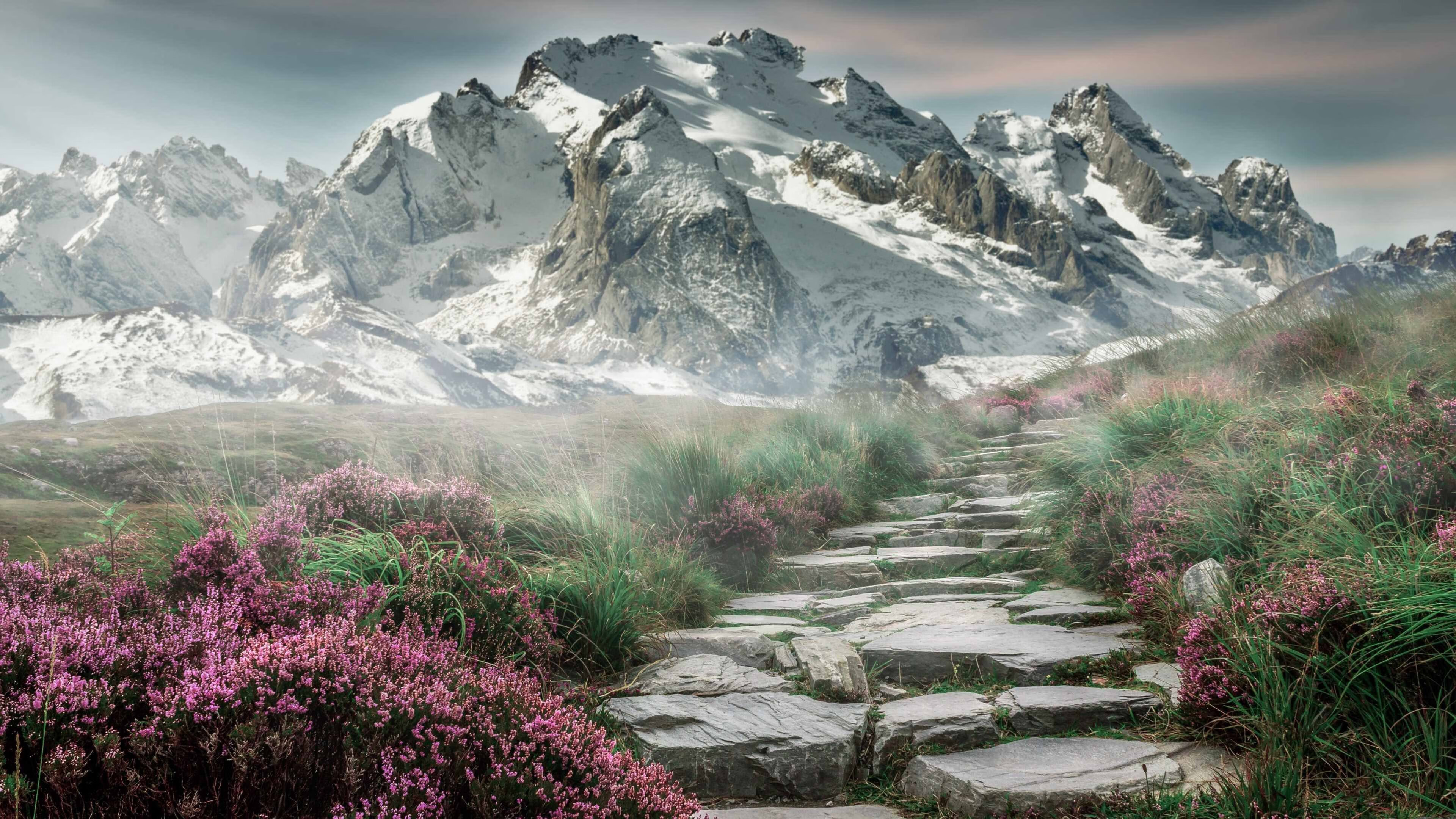 爱游戏ayx-布克掌控进攻节奏带动全队投篮命中率上升，布克球员