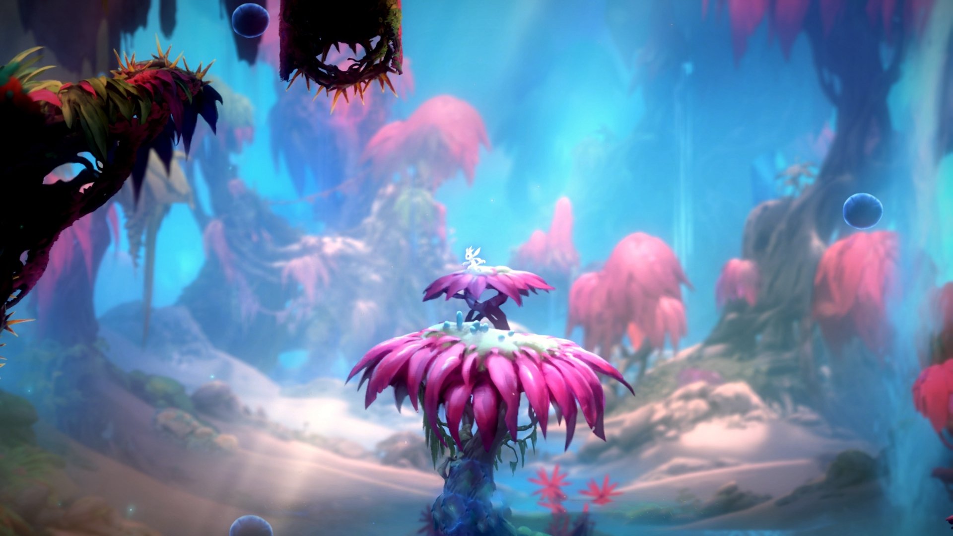 爱游戏体育官网-新西兰橄榄球赛事在全球范围内的转播权价值大增，新西兰橄榄球队徽