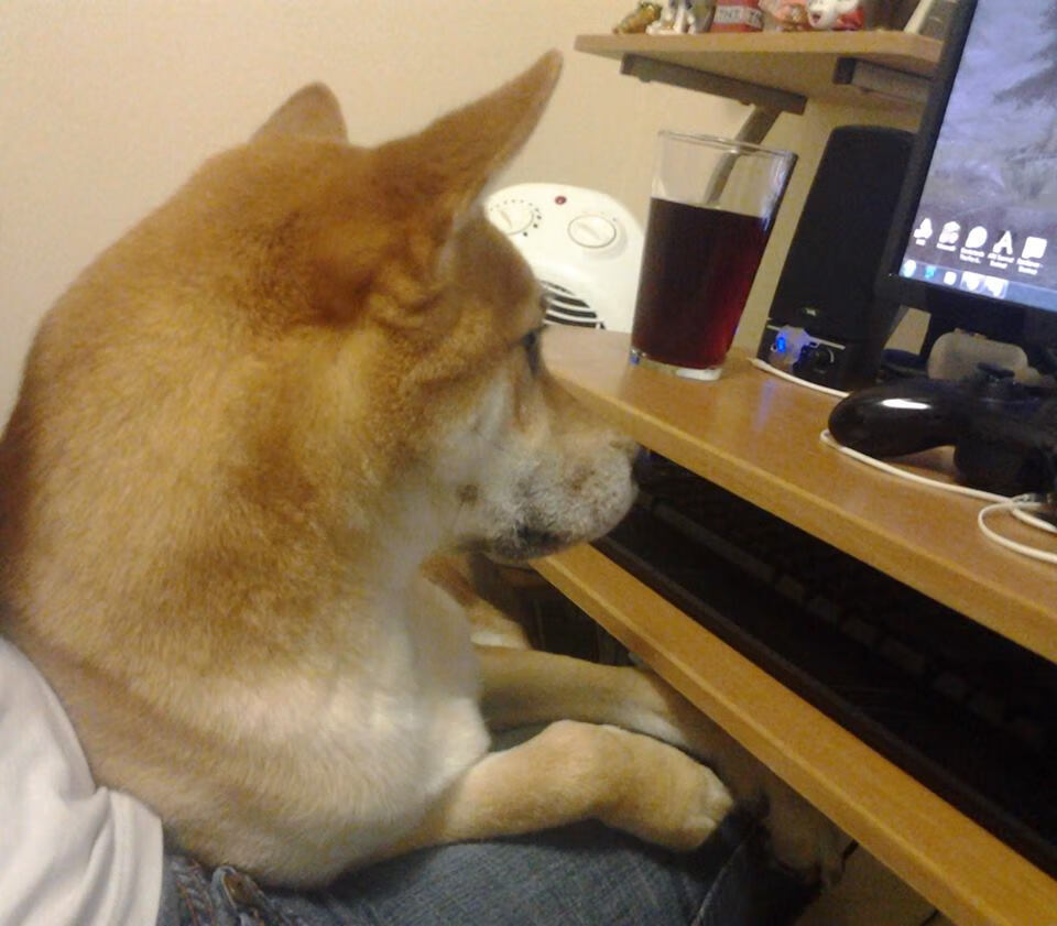 新西兰橄榄球赛事在全球范围内的转播权价值大增，新西兰橄榄球队徽