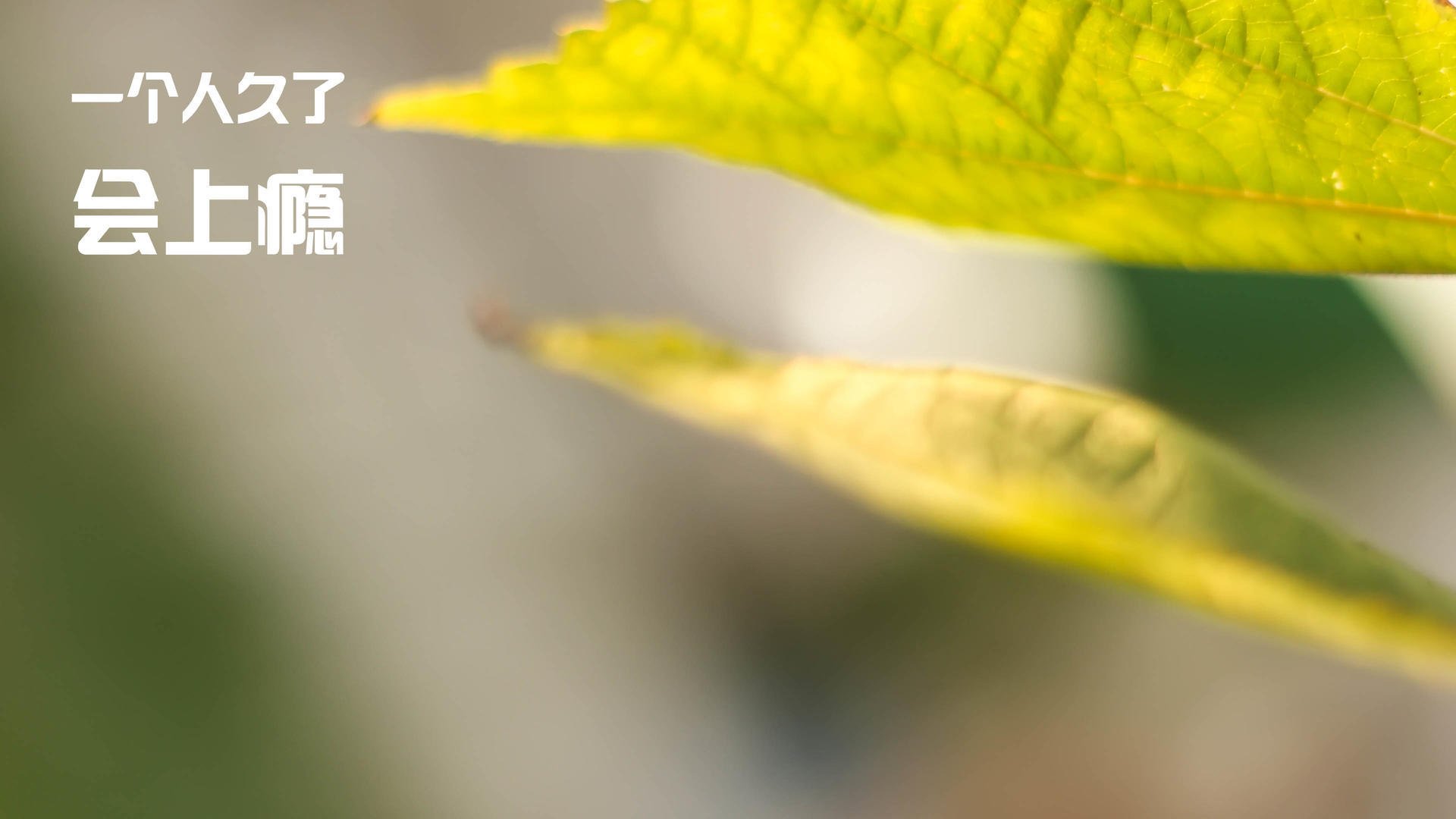 爱游戏app活动-法国新秀崭露头角，团队未来充满希望