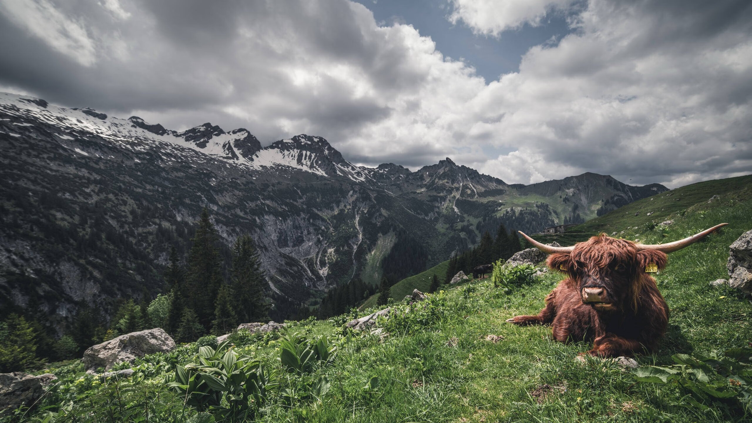 爱游戏app安装-赛事观看人数回升暗合体育产业复兴方向